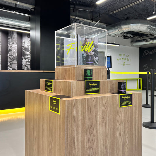 Pedestal Display (Proto)